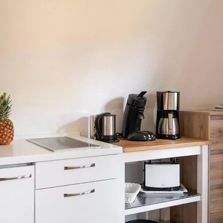 Ferienhaus-La-Perla-Apartment-Seestern Διαμέρισμα Uberlingen